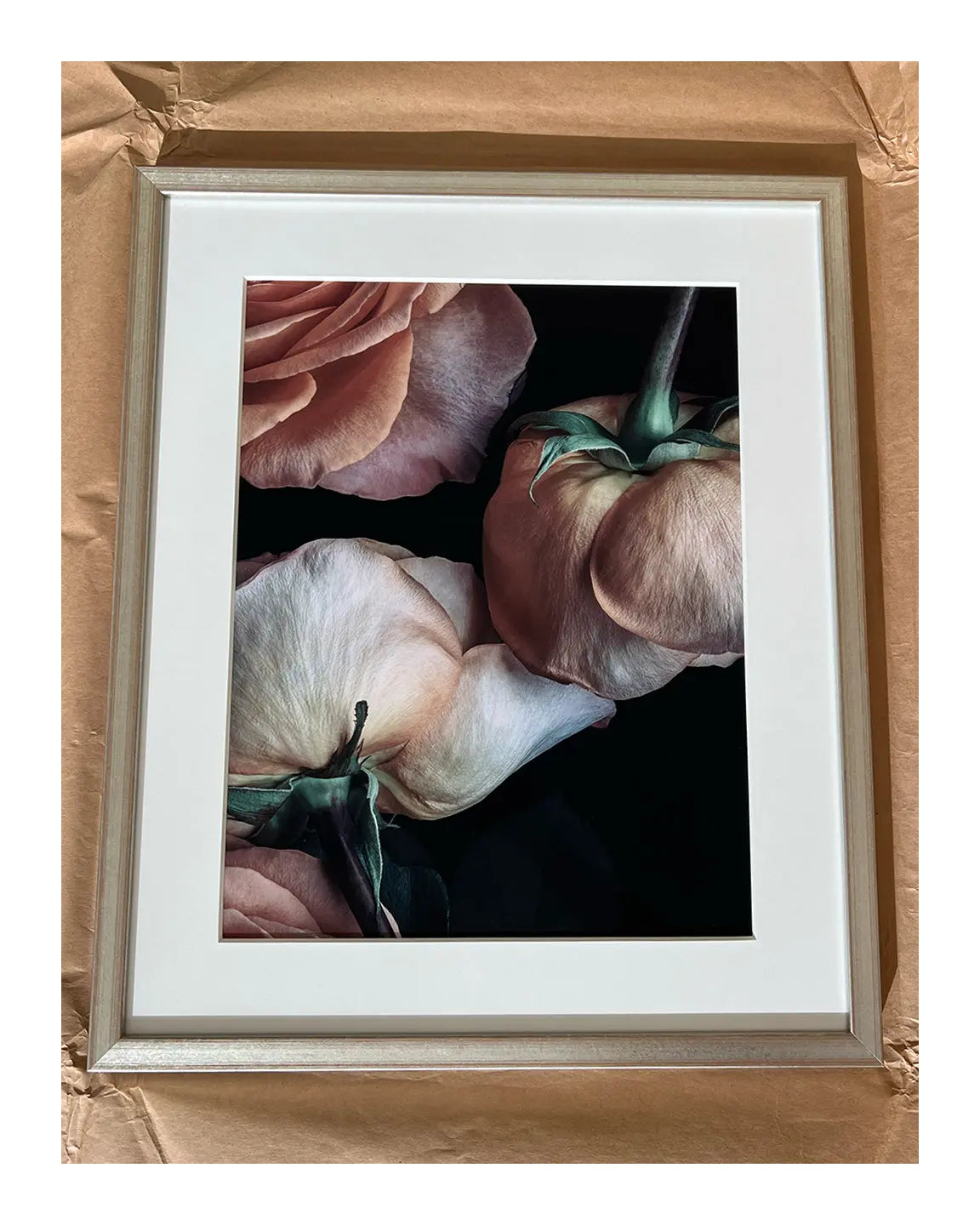 Scent of a Rose - Framed Fine Art Floral Photography | Limited Edition ELENA DRAGOI