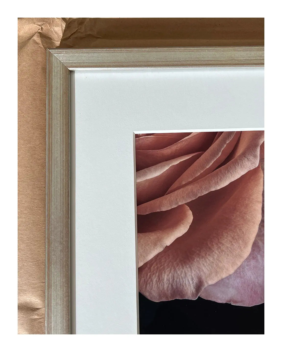 Scent of a Rose - Framed Fine Art Floral Photography | Limited Edition ELENA DRAGOI