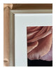 Scent of a Rose - Framed Fine Art Floral Photography | Limited Edition ELENA DRAGOI