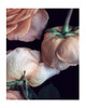 Limited edition fine art photograph of velveteen roses by Elena Dragoi, capturing the essence of femininity and love.