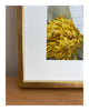 The Gift - A Framed Floral Art Print ELENA DRAGOI