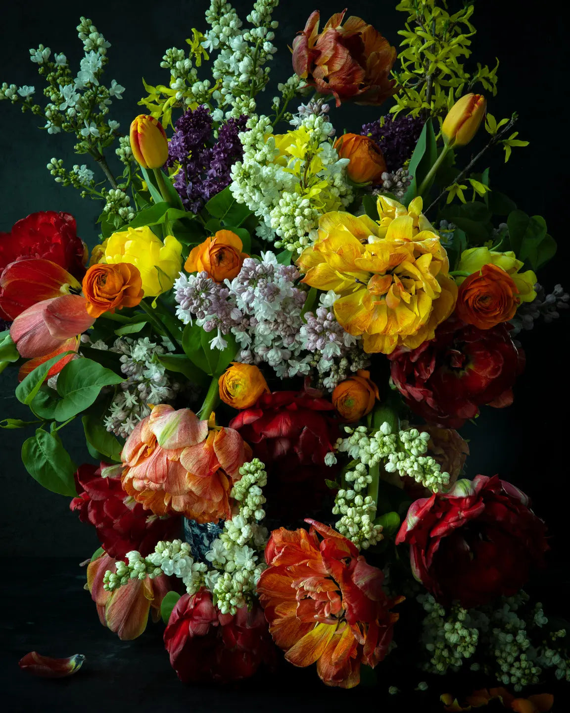 Tulip Extravaganza