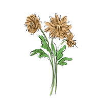 Your Personalized Integrative Wellness Protocol (Delivered within 5-7 days)