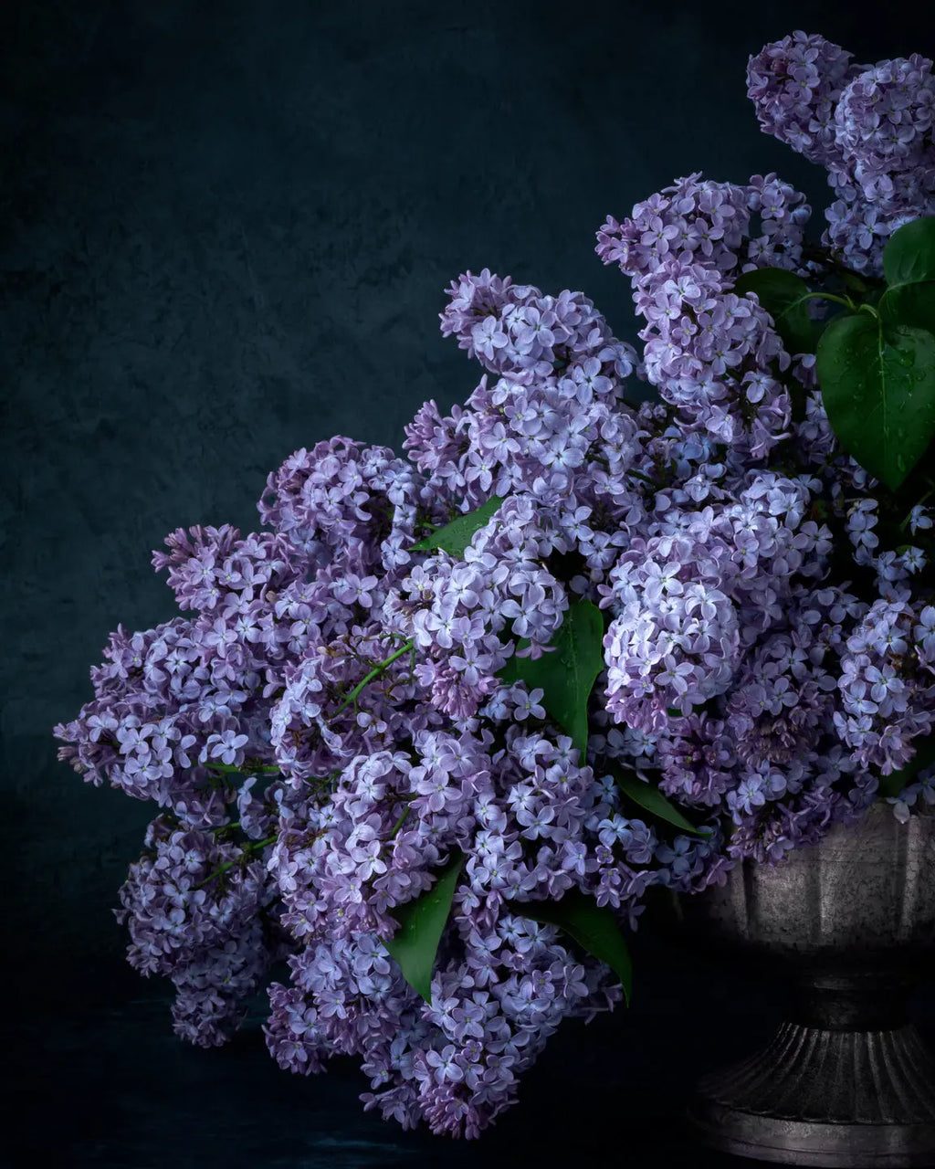 Fine art flower photography - Purple lilac blooms in vintage vase by Elena Dragoi