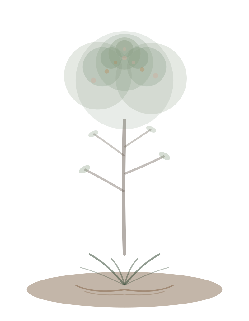 Decorative tree illustration