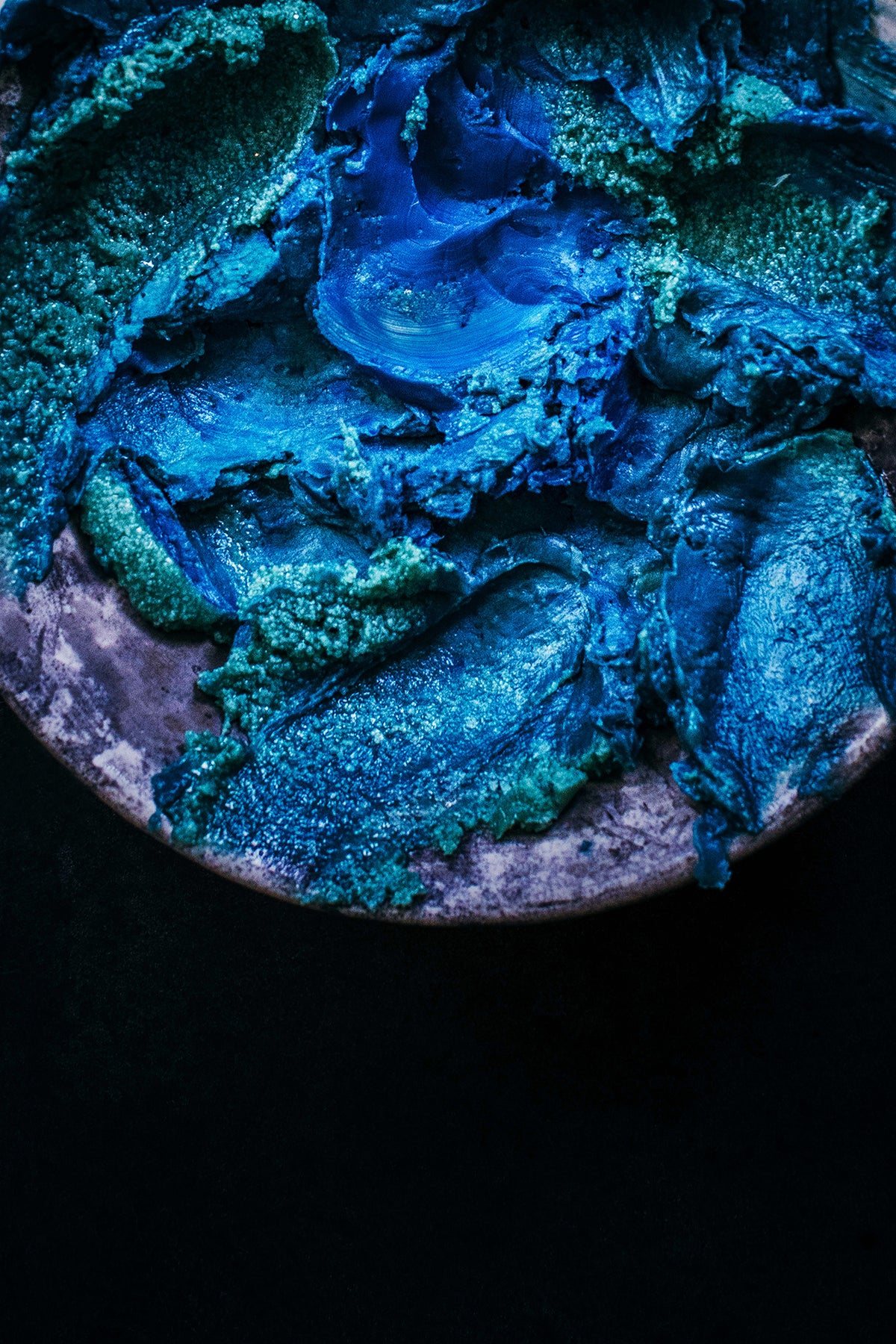 The Integration - Winter - Elena Dragoi fine art floral photographer and wellness coach