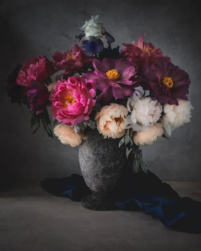 Moonlight Romance botanical fine art print featuring deep burgundy, vibrant fuchsia, and soft blush cream peonies with golden centers in a dramatic moonlit arrangement by Elena Dragoi