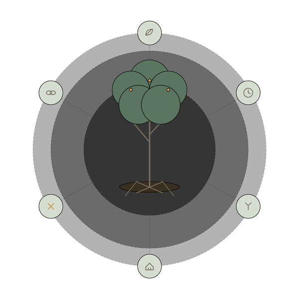 Tree diagram showing the four practices