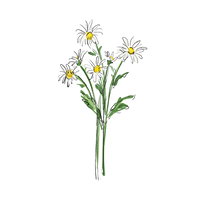 Comprehensive Wellness Consultation (2 hours via Zoom)