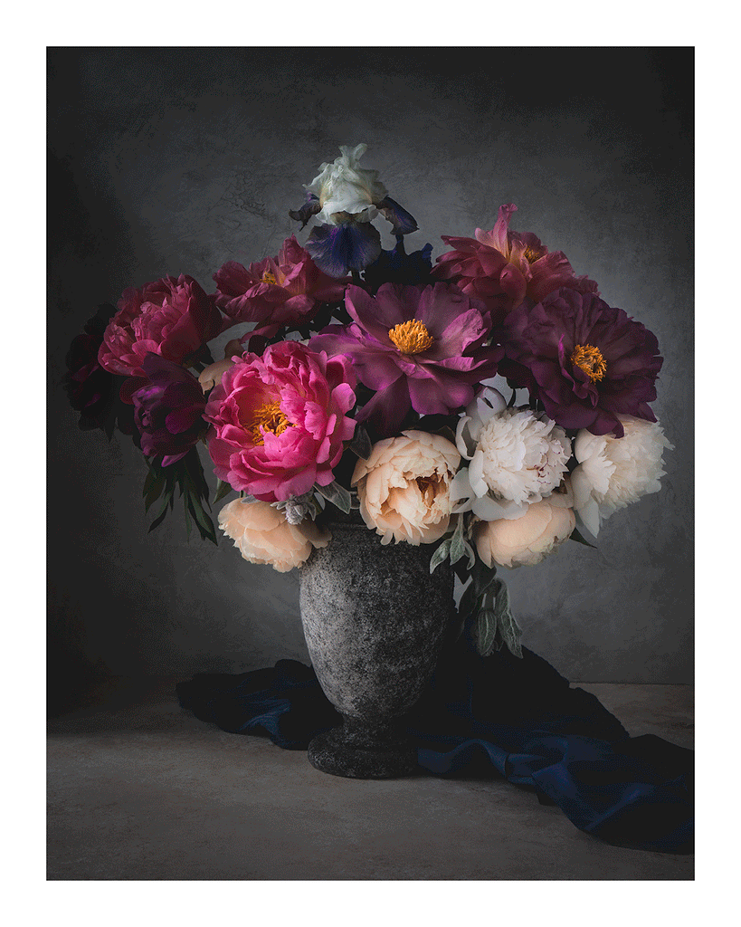 Adoration | Flower Prints | Elena Dragoi