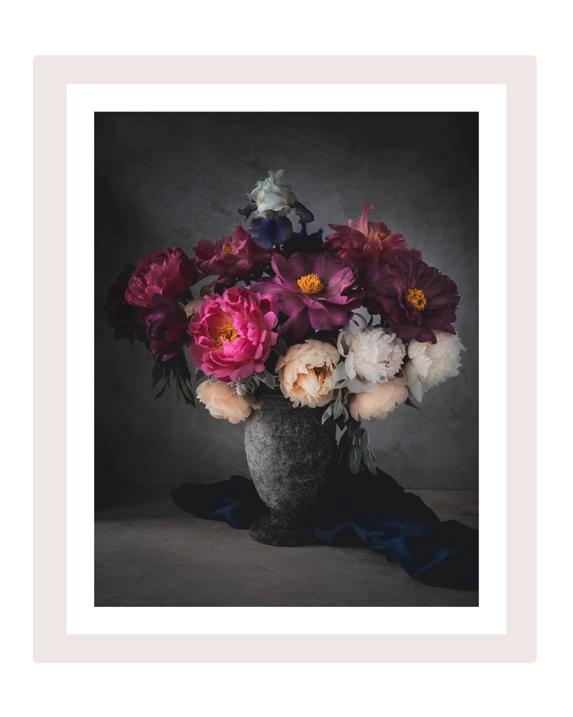 Adoration | Fine Art Flower Prints | Elena Dragoi