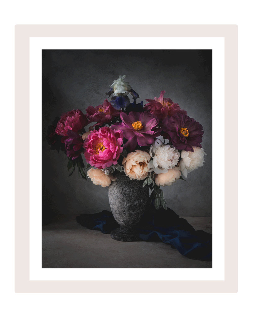 Adoration | Fine Art Flower Prints | Elena Dragoi
