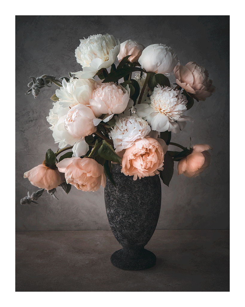 Blushing Romance | Flower Print | Elena Dragoi