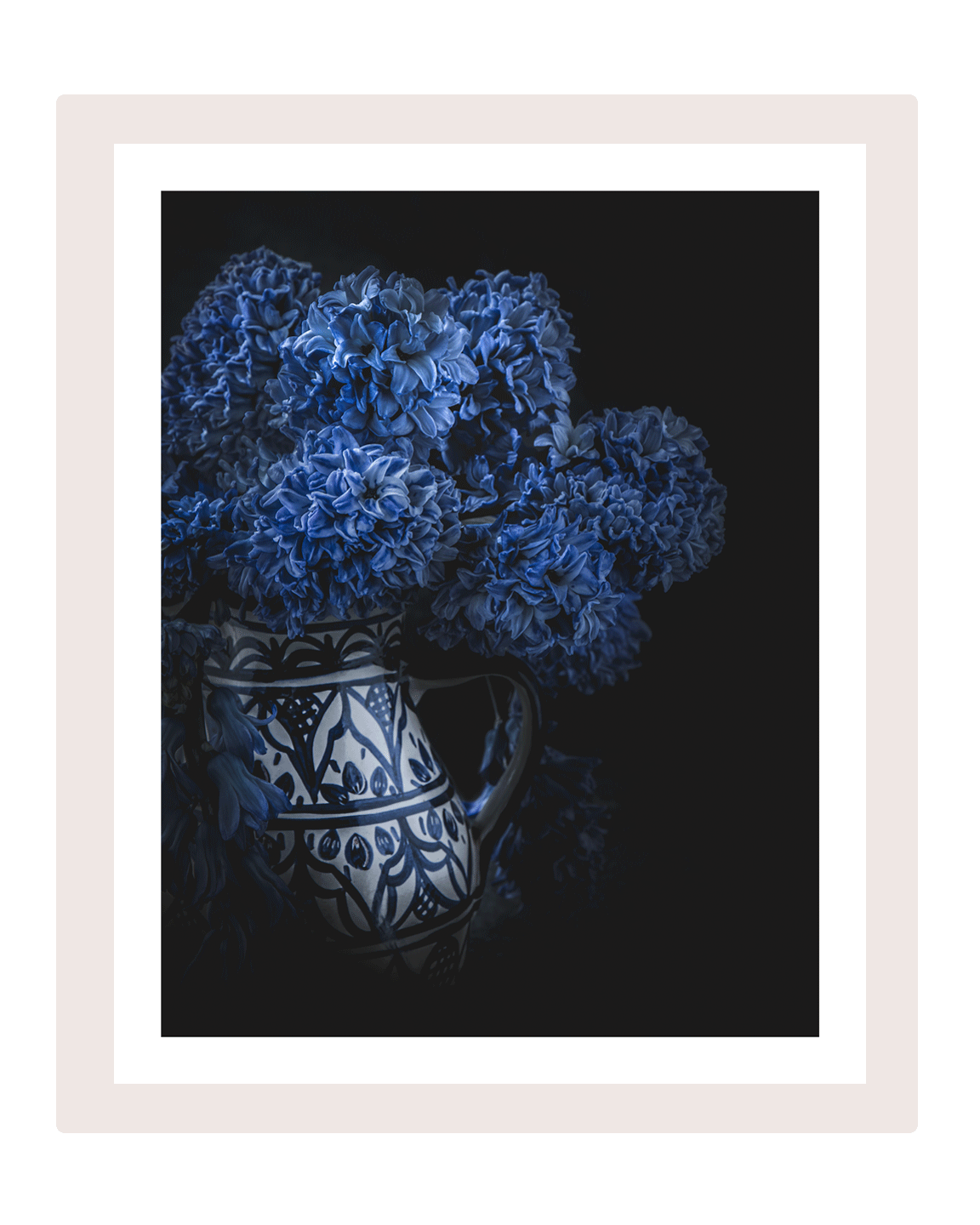 Born in Blue | Flower Art Prints | Elena Dragoi