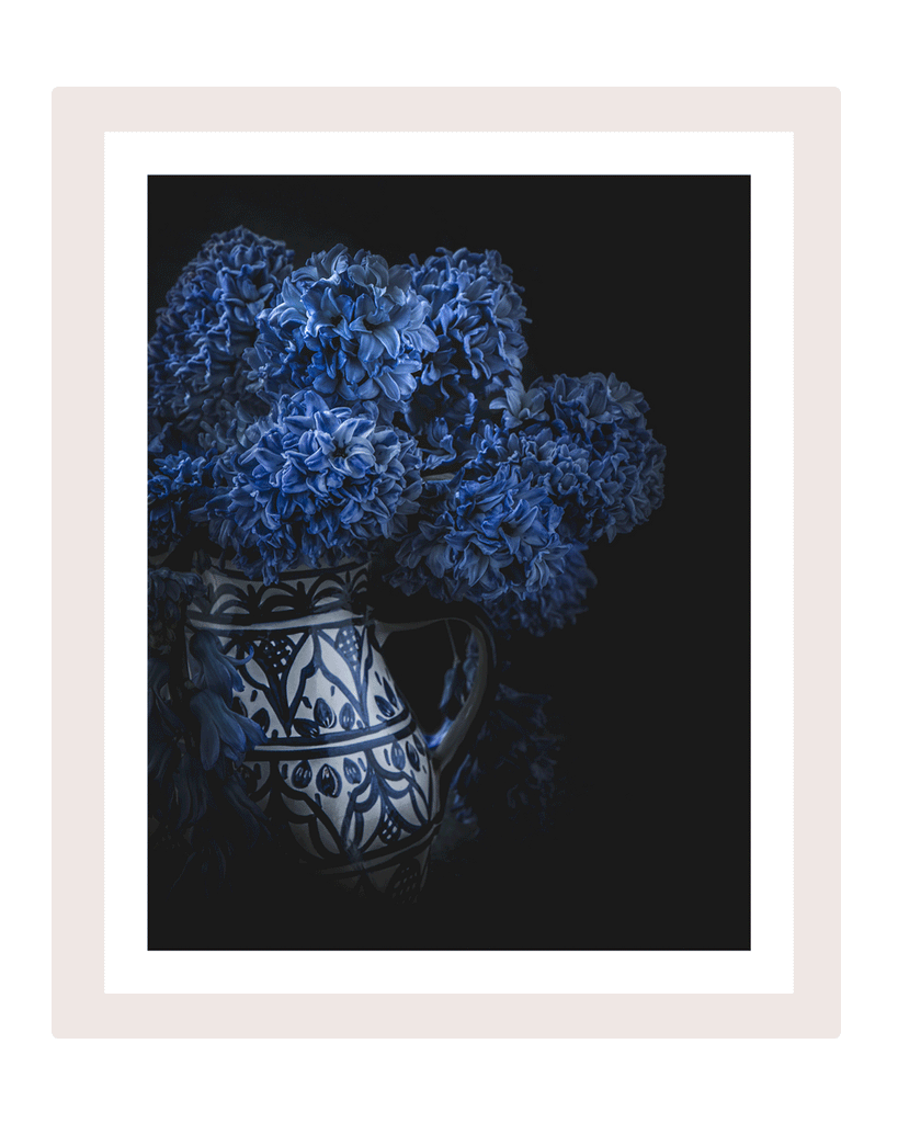 Born in Blue | Flower Art Prints | Elena Dragoi