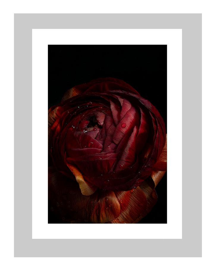 Breathe | custom floral art cards | art postcards | flower prints | ELENA DRAGOI