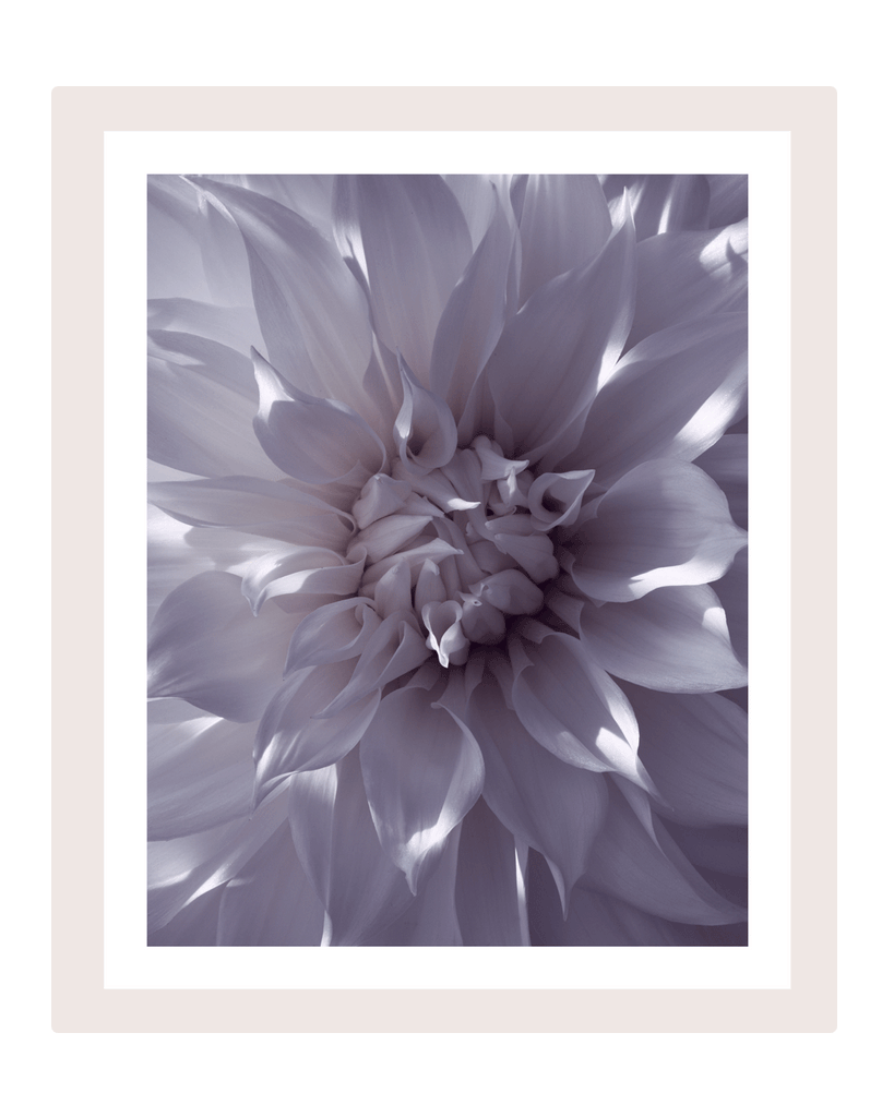 Burning White Light | Flower Print | Elena Dragoi