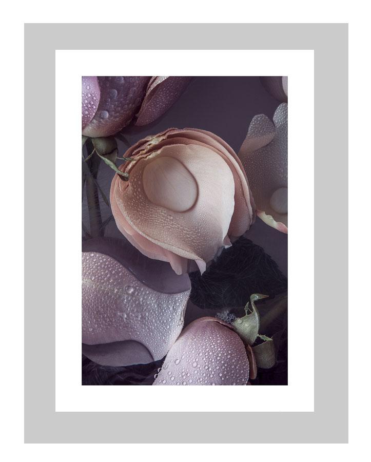 Dream | custom floral art cards | art postcards | flower prints | ELENA DRAGOI