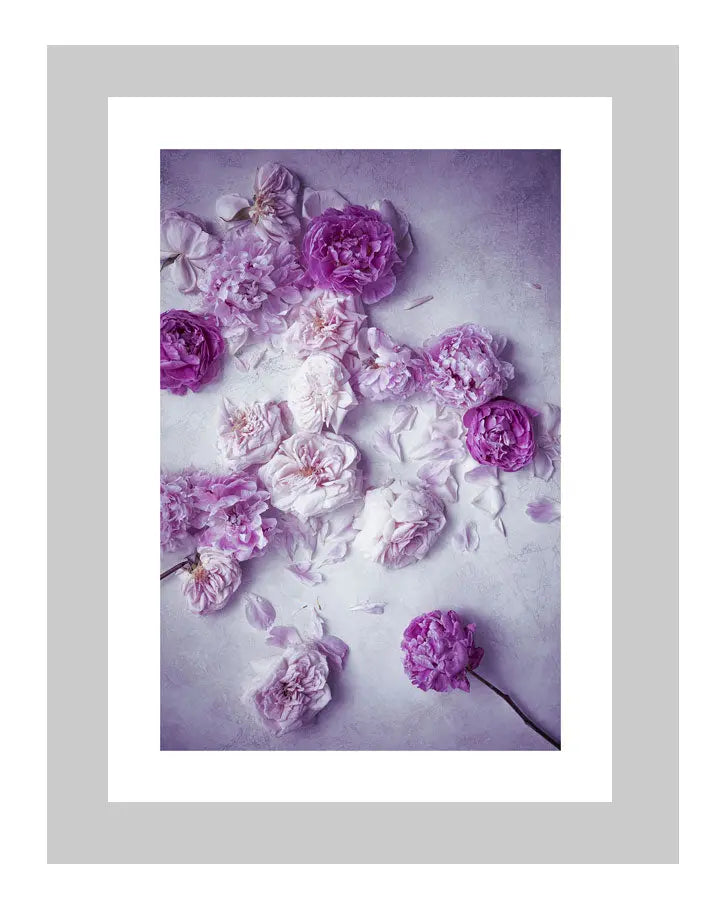 Dusk Dreams | custom floral art cards | art postcards | flower prints | ELENA DRAGOI