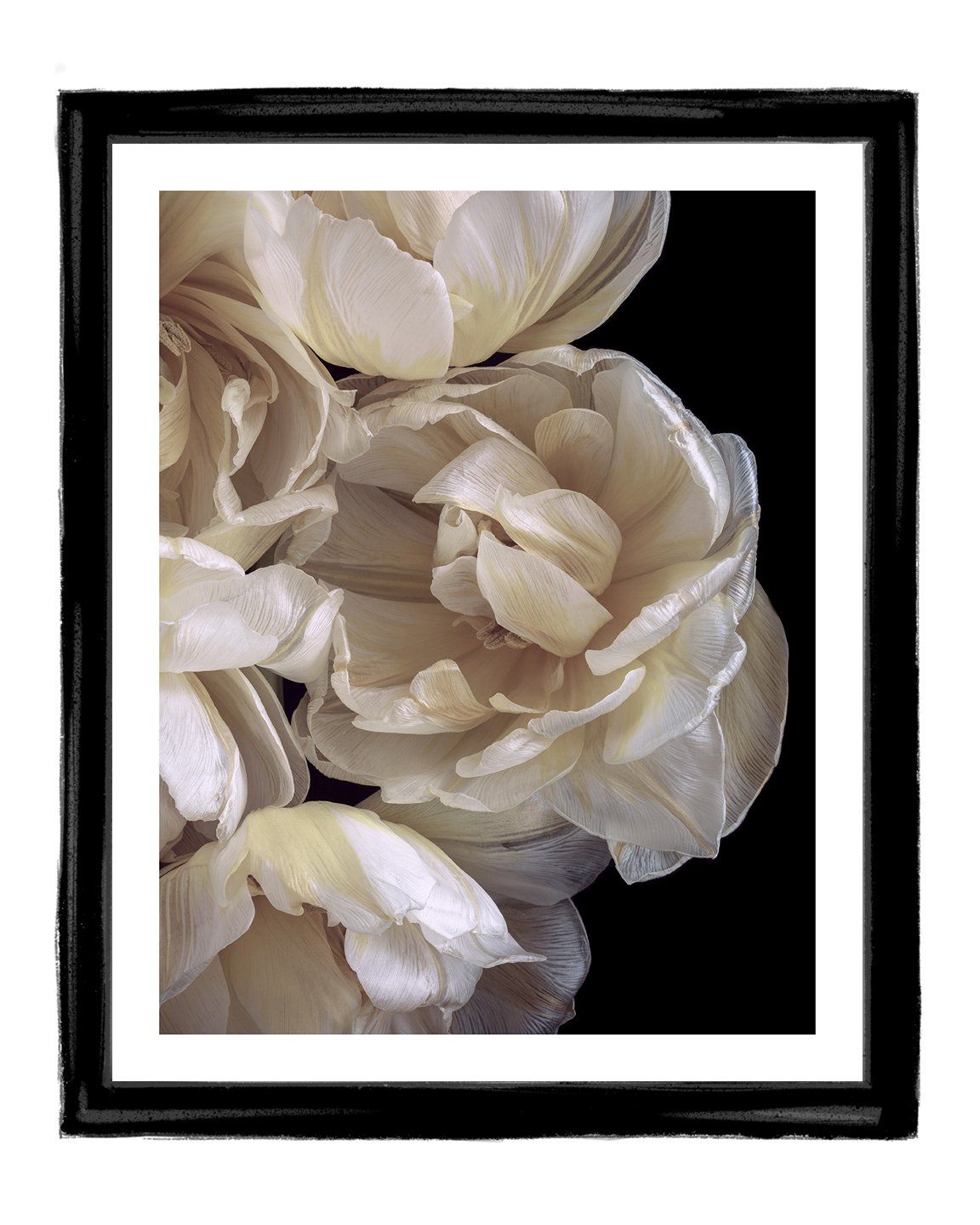 Enchanting Beauty - flower art prints ELENA DRAGOI