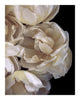 Enchanting Beauty - flower prints ELENA DRAGOI