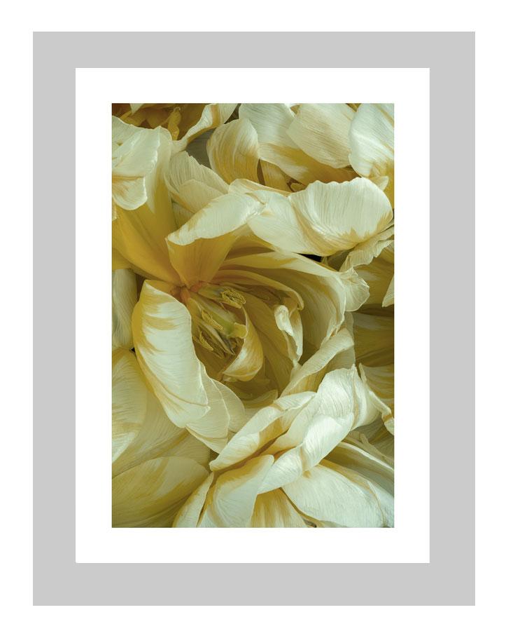 Friendship | custom floral art cards | art postcards | flower prints | ELENA DRAGOI