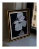 Gentle Love - A Framed Floral Art Print ELENA DRAGOI