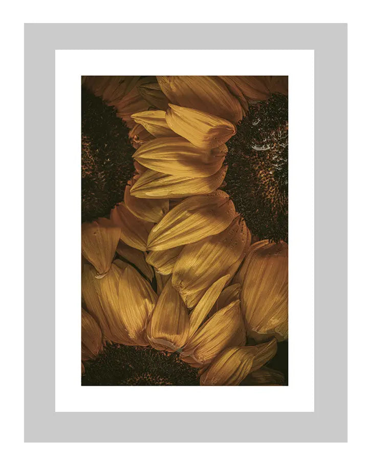 Golden Hour | custom floral art cards | art postcards | flower prints | ELENA DRAGOI