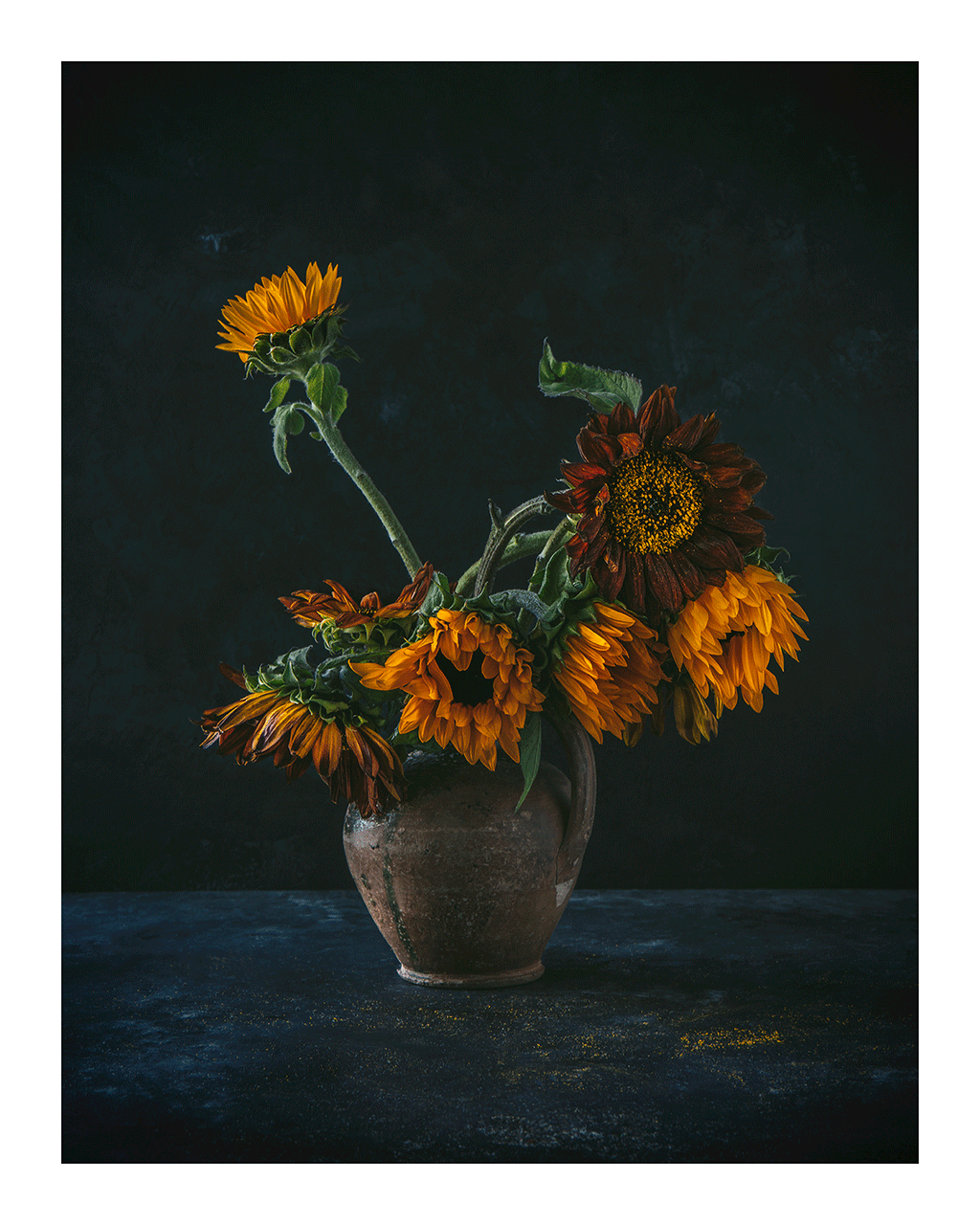 Golden Light I Sunflower Print | Elena Dragoi