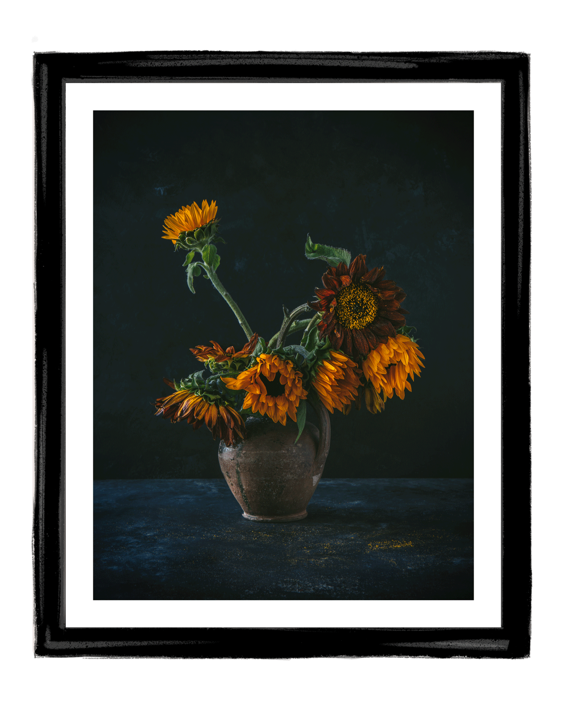 Golden Light I Fine Art Sunflower Photography | Elena Dragoi