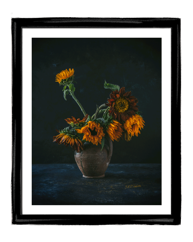 Golden Light I Fine Art Sunflower Photography | Elena Dragoi