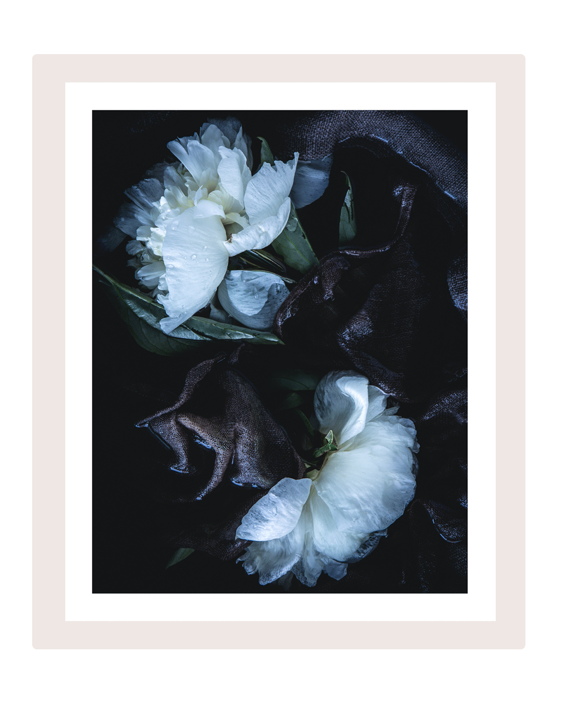 Into the Sea | Flower Art Print | Elena Dragoi