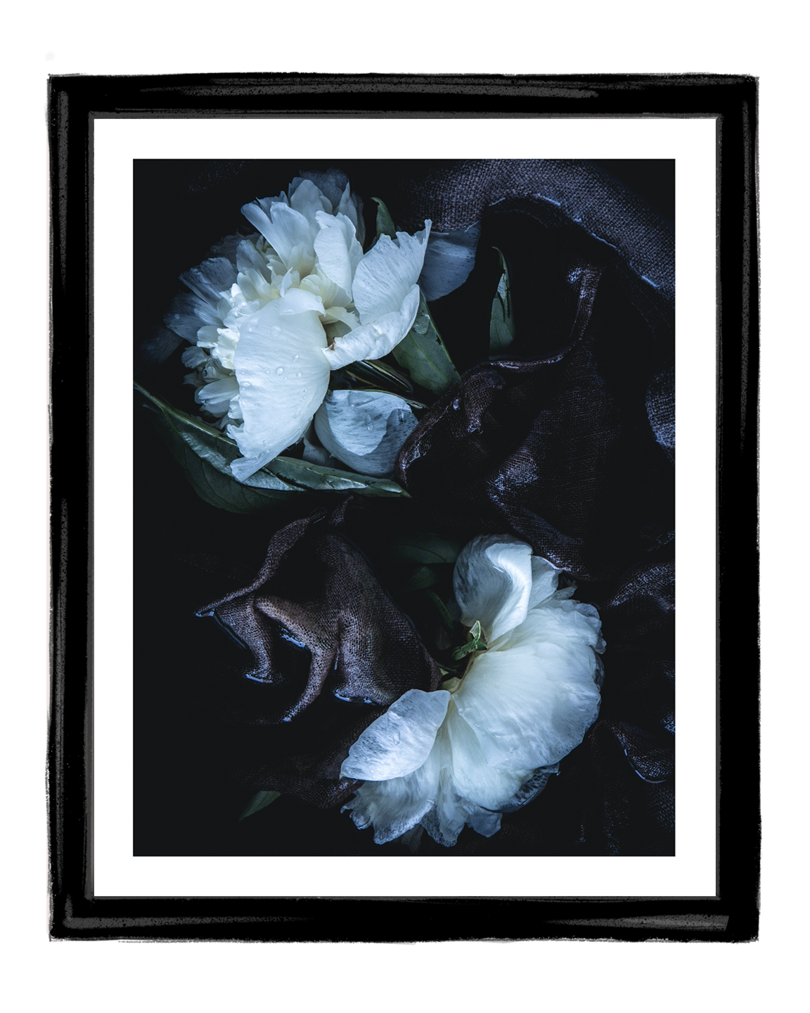 Into the Sea | Fine Art Flower Photography | Floral Art Prints