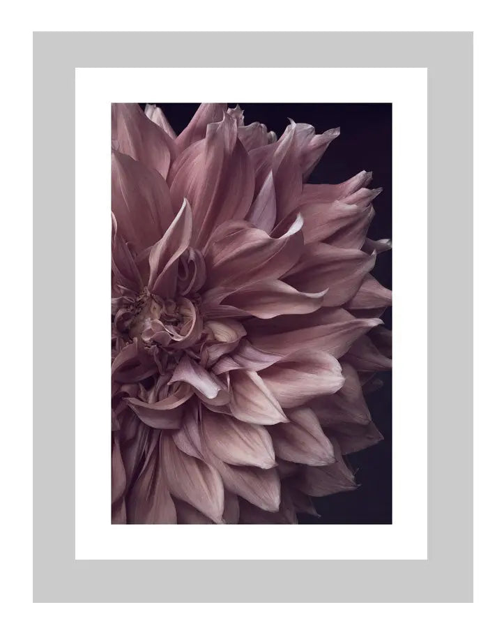 Intrinsic Worth | custom floral art cards | art postcards | flower prints | ELENA DRAGOI