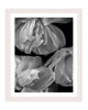 Inward Beauty - flower art prints ELENA DRAGOI