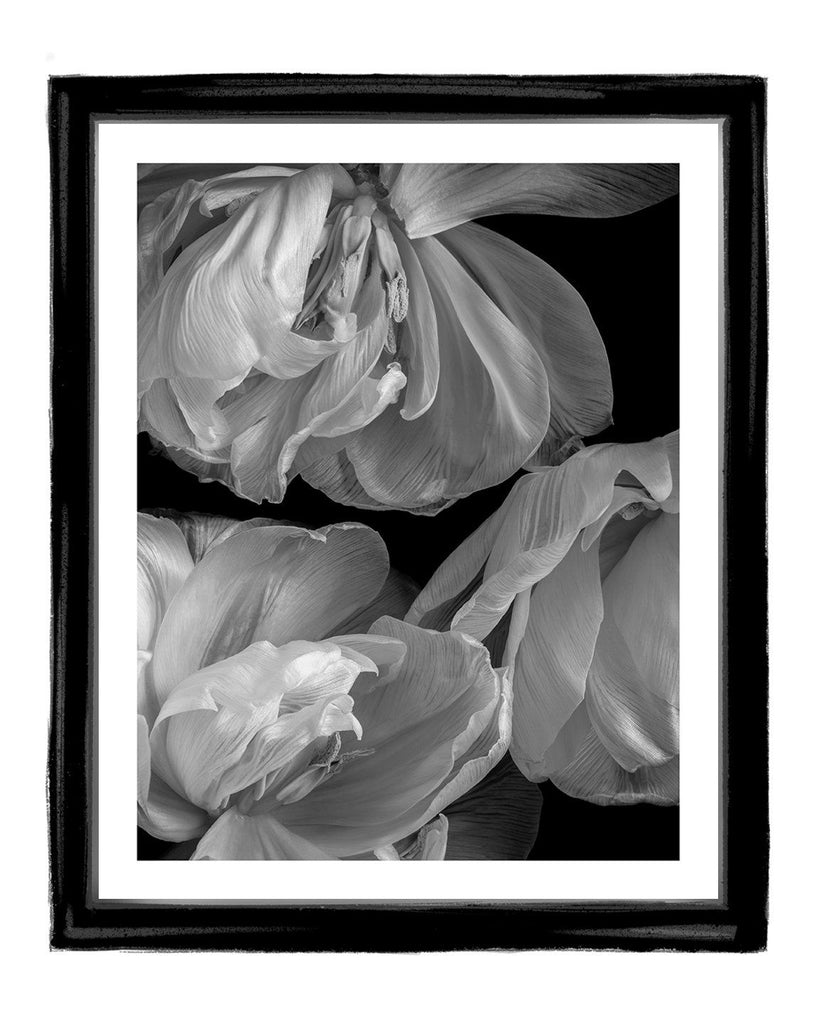 Inward Beauty - flower art prints ELENA DRAGOI