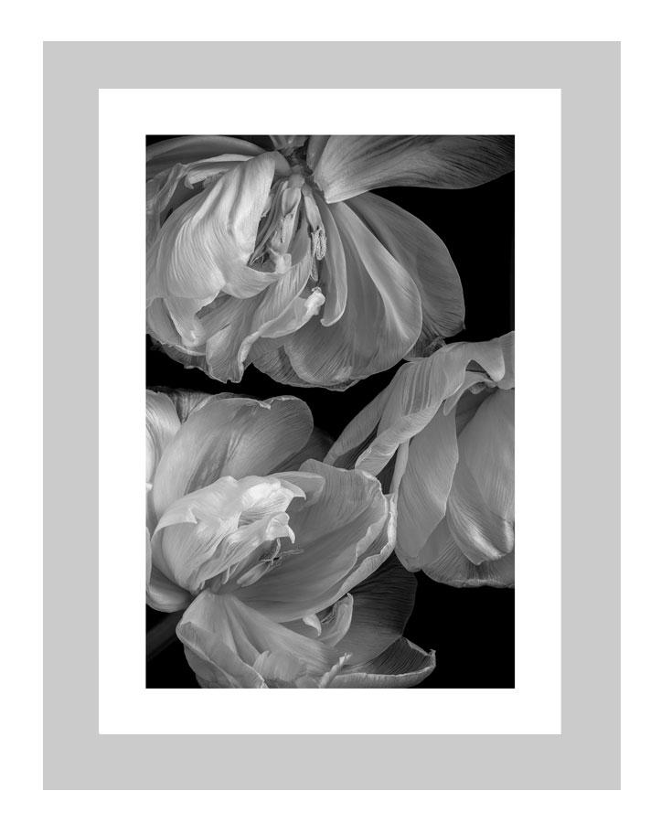 Inward Beauty  | custom floral art cards | art postcards | flower prints | ELENA DRAGOI