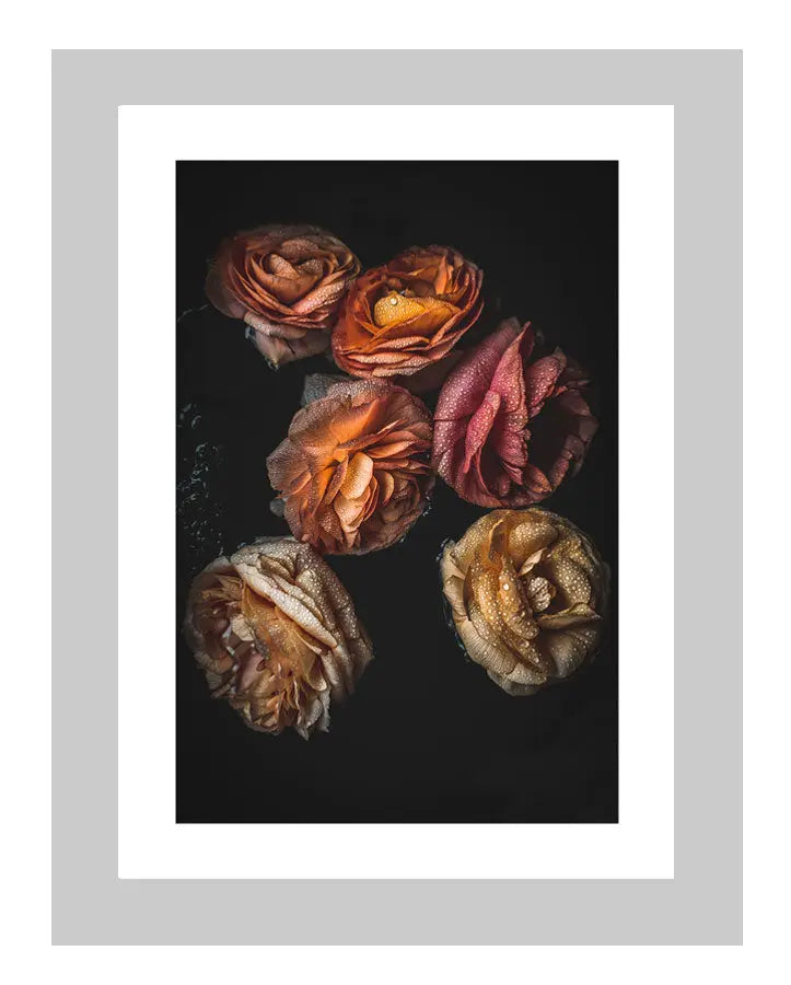 Late Spring Morning Dew | custom floral art cards | art postcards | flower prints | ELENA DRAGOI