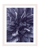 Lavender Mist | Flower Art Prints | Elena Dragoi