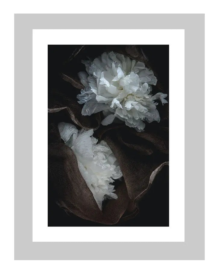 Lost in a Daydream | custom floral art cards | art postcards | flower prints | ELENA DRAGOI