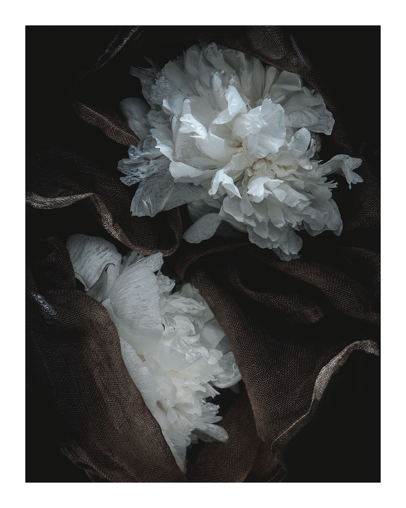 Lost in a Daydream | Flower Print | Elena Dragoi