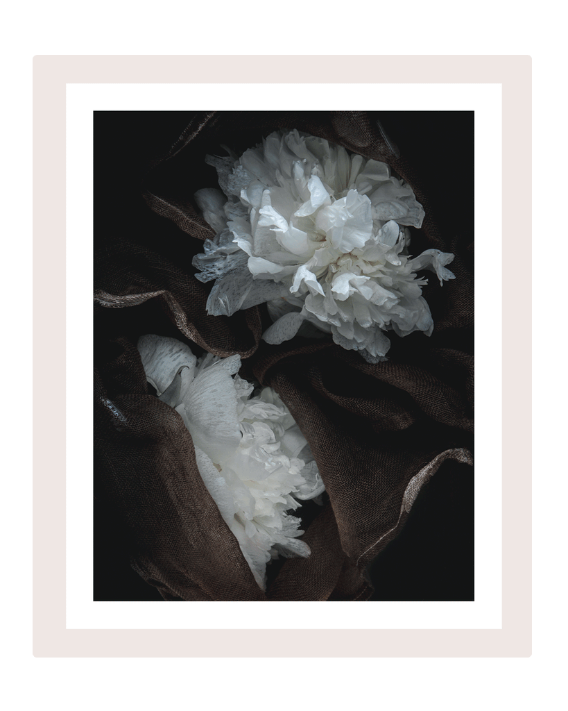 Lost in a Daydream | Flower Art Prints | Elena Dragoi