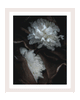 Lost in a Daydream | Flower Art Prints | Elena Dragoi