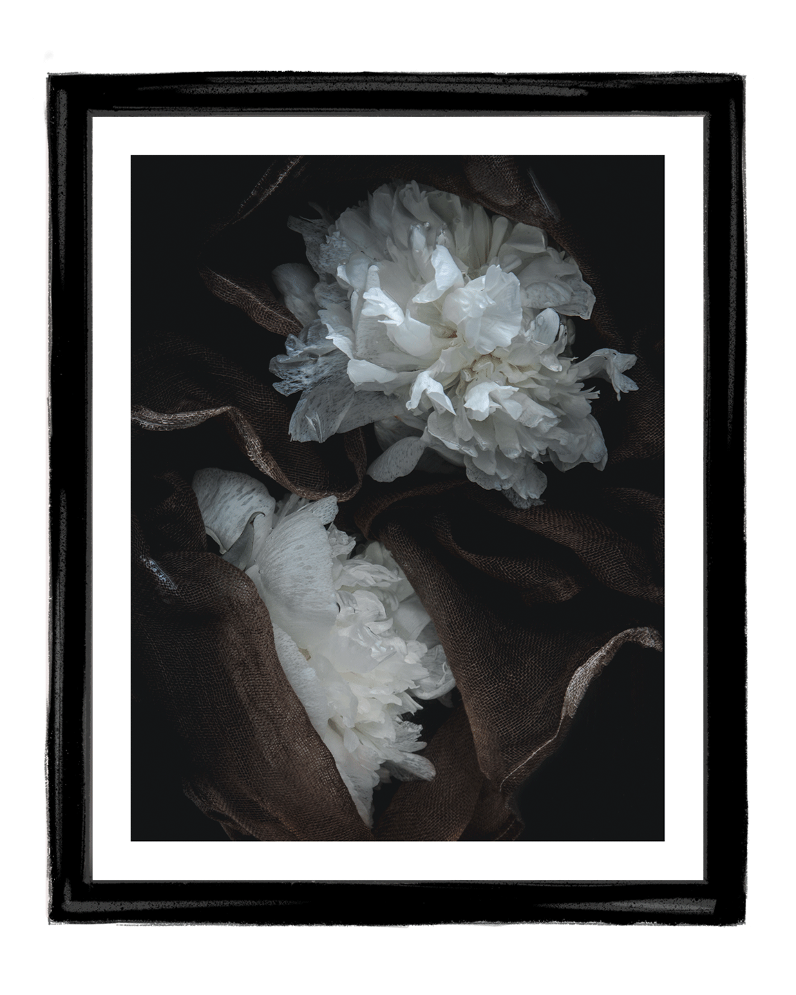 Lost in a Daydream | Fine Art Photography Prints | Elena Dragoi
