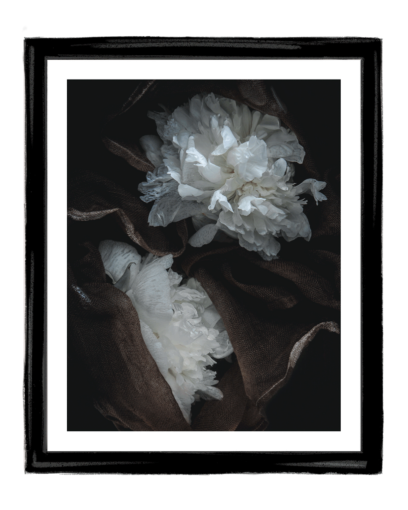 Lost in a Daydream | Fine Art Photography Prints | Elena Dragoi