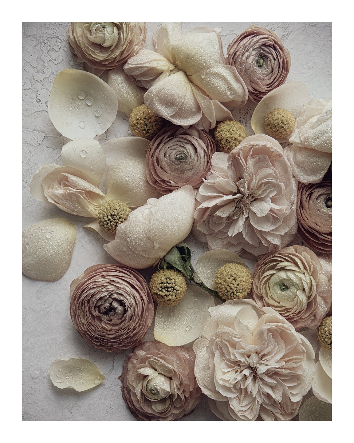 Love and Fleurs I | Flower Print | Elena Dragoi