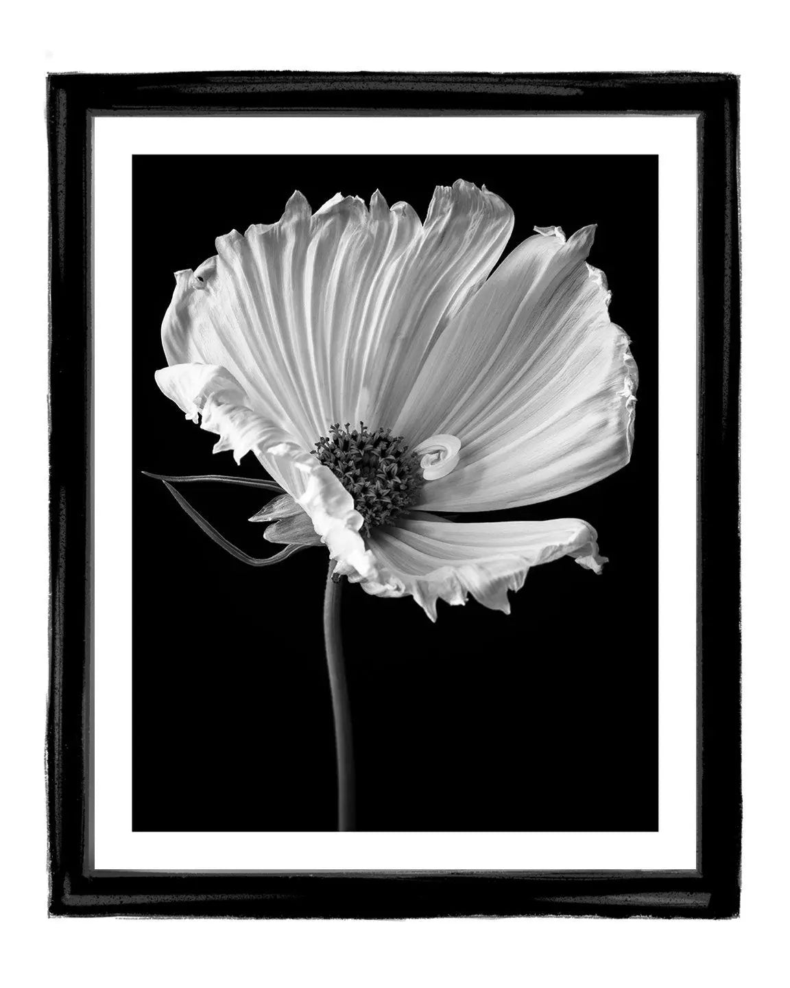 Love of a Mother - flower art prints framed ELENA DRAGOI