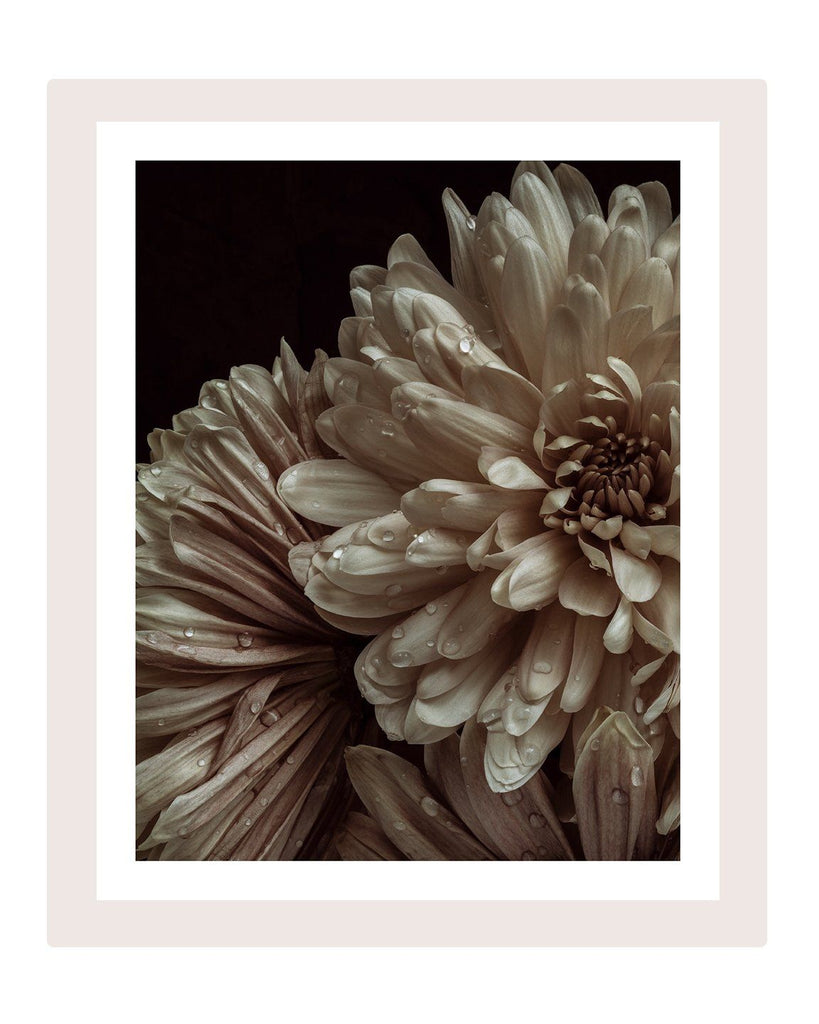 Patience - flower art prints ELENA DRAGOI