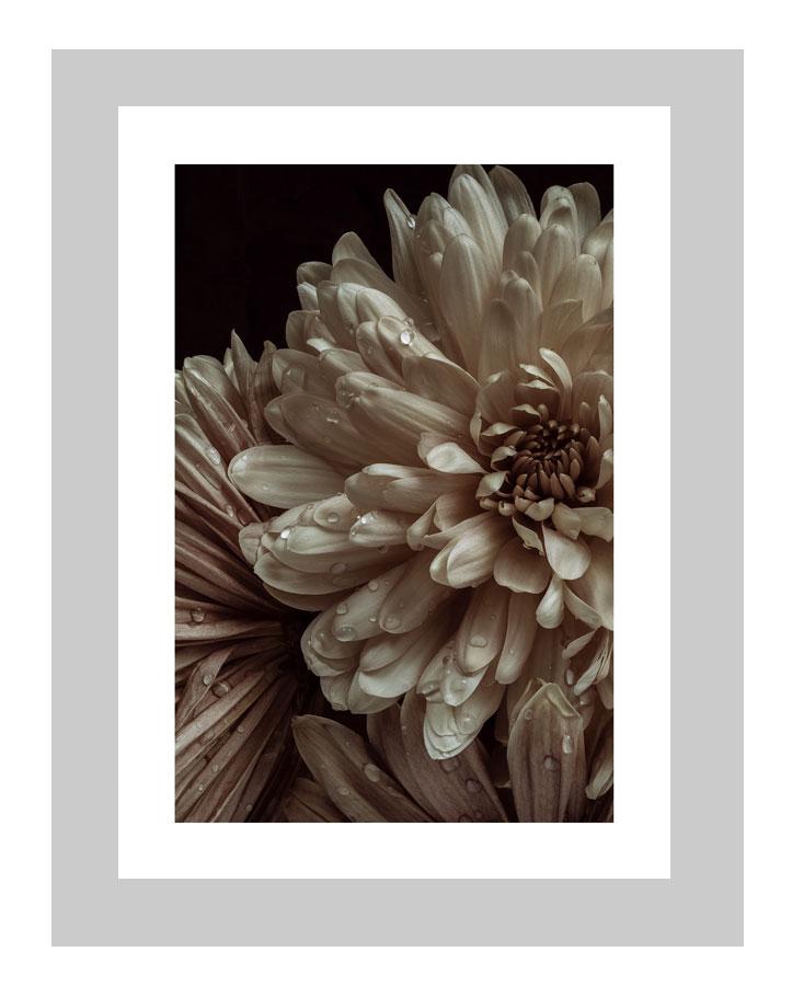 Patience | custom floral art cards | art postcards | flower prints | ELENA DRAGOI