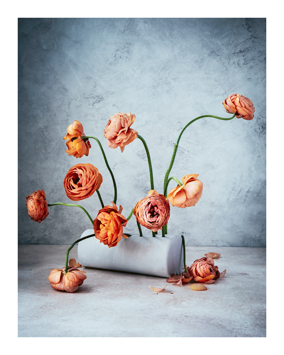 Perfectionism | Flower Print | Elena Dragoi